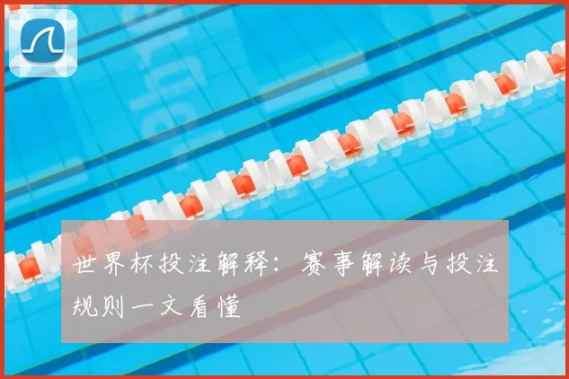 世界杯投注解释：赛事解读与投注规则一文看懂