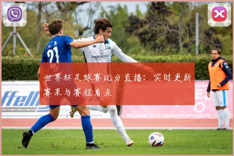 世界杯足球赛比分直播：实时更新赛果与赛程看点