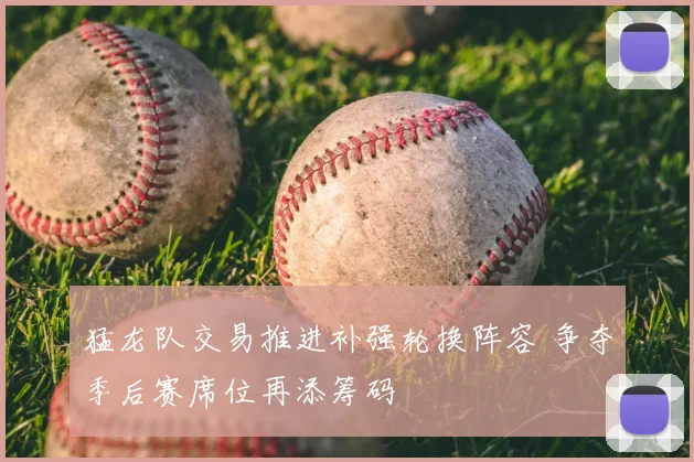 猛龙队交易推进补强轮换阵容 争夺季后赛席位再添筹码