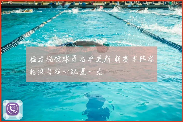 猛龙现役球员名单更新 新赛季阵容轮换与核心配置一览