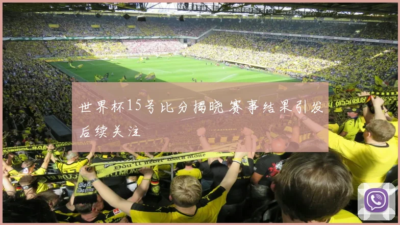世界杯15号比分揭晓 赛事结果引发后续关注