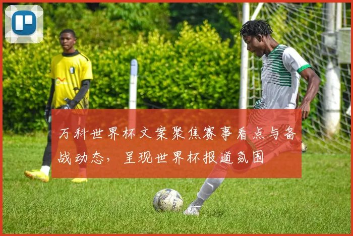 万科世界杯文案聚焦赛事看点与备战动态，呈现世界杯报道氛围