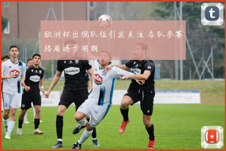 欧洲杯出现队伍引发关注 各队参赛格局逐步明朗