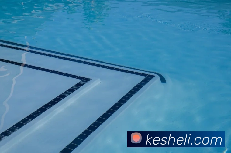 投注app官网品牌故事